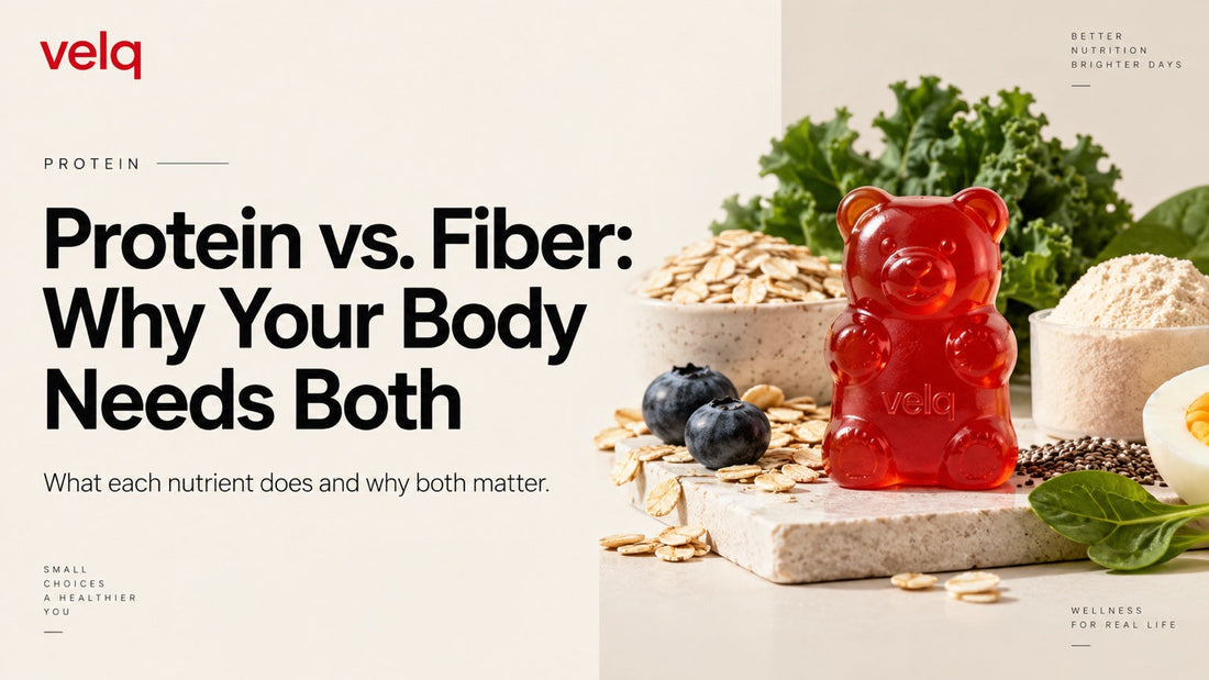 Protein vs. Fiber: Why Your Body Needs Both — red Velq gummy bear with oats and fiber-rich ingredients